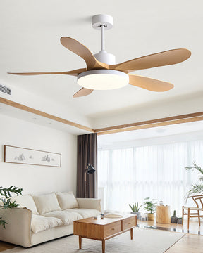 Homevator Scandi Reversible Ceiling Fan with Light-HV5002