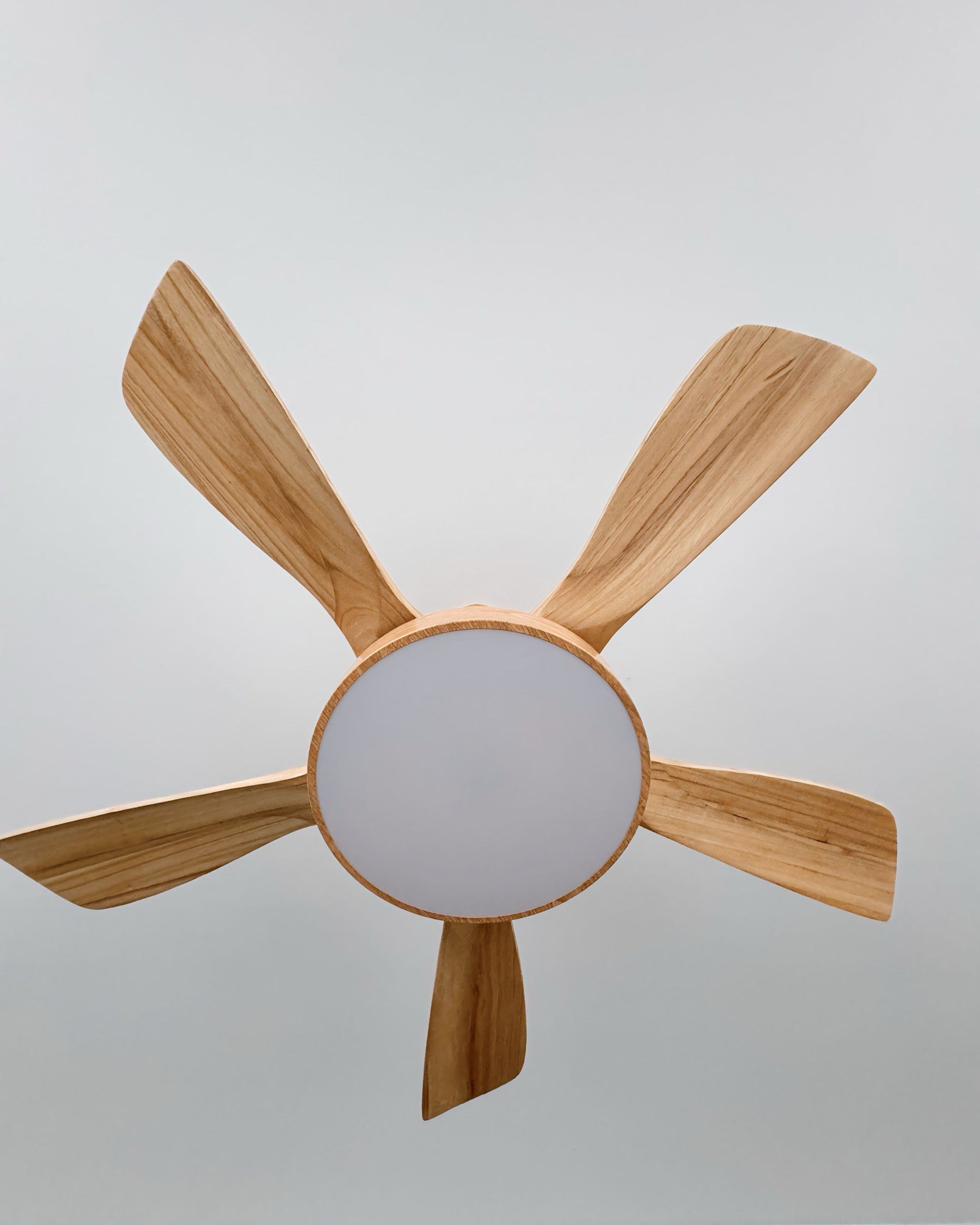 Homevator Scandi Reversible Ceiling Fan with Light-HV5002